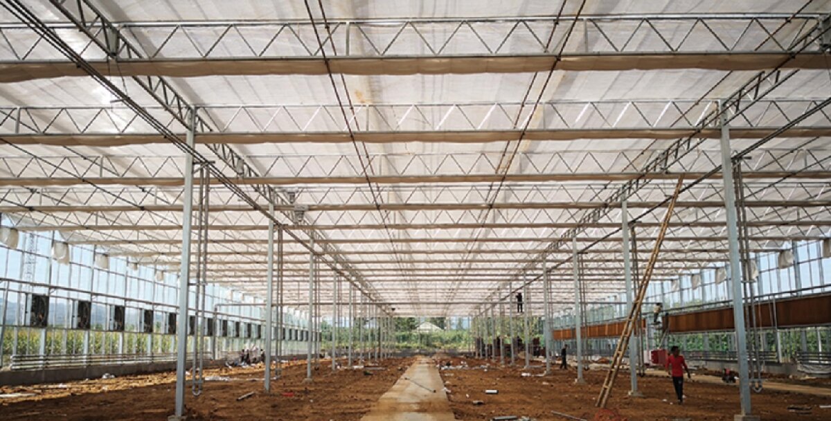 信橋鋼構(gòu)：打卡蒙陰農(nóng)業(yè)溫室大棚、青州黑牛養(yǎng)殖基地！(圖3)